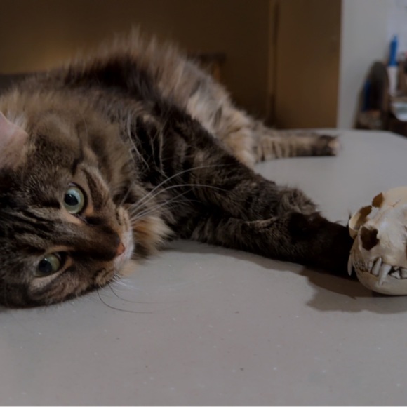 Meet your Posher, Adrienne (but please, call me Renn.) - Picture 3 of 7